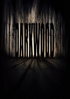 Darkwood Alpha – PC